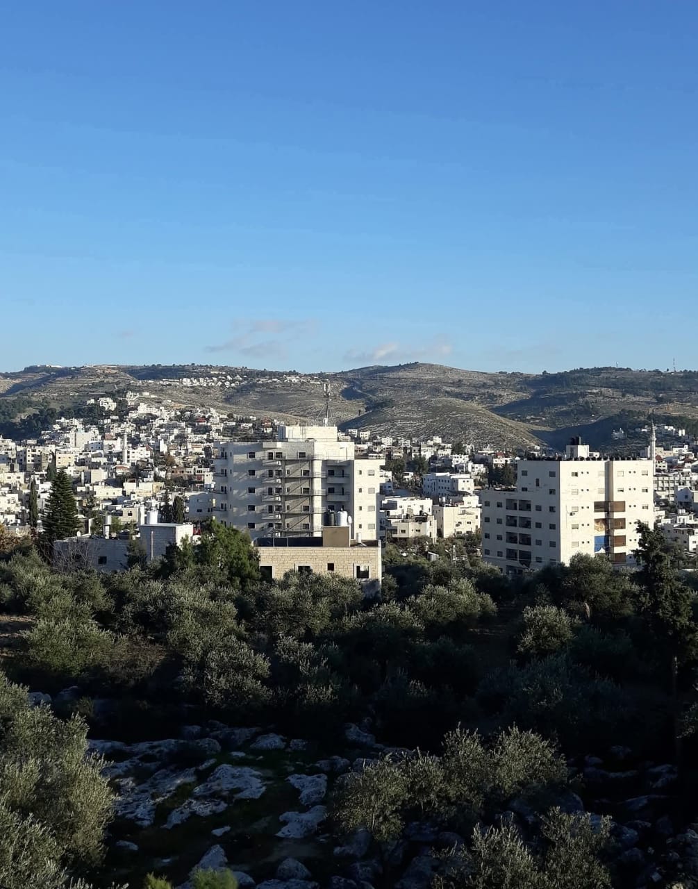 الخليل | موسوعة القرى الفلسطينية